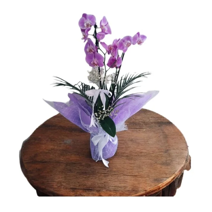 Çift Dal Mor Orkide 45 Cm