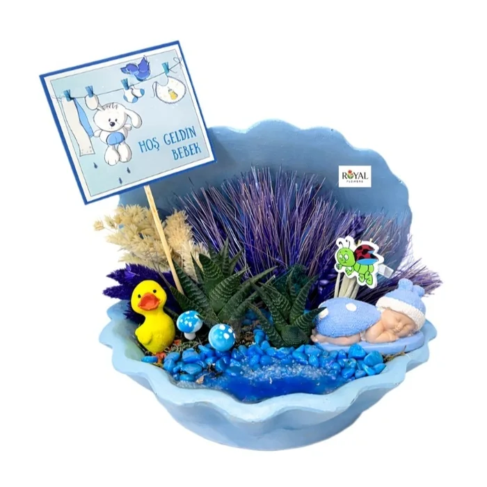 Hoş Geldin Bebek Teraryum İstiridye Saksıda Erkek Bebek Teraryum.25 Cm