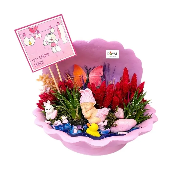 Hoş Geldin Bebek Teraryum İstiridye Saksıda Kız Bebek Teraryum.27 Cm