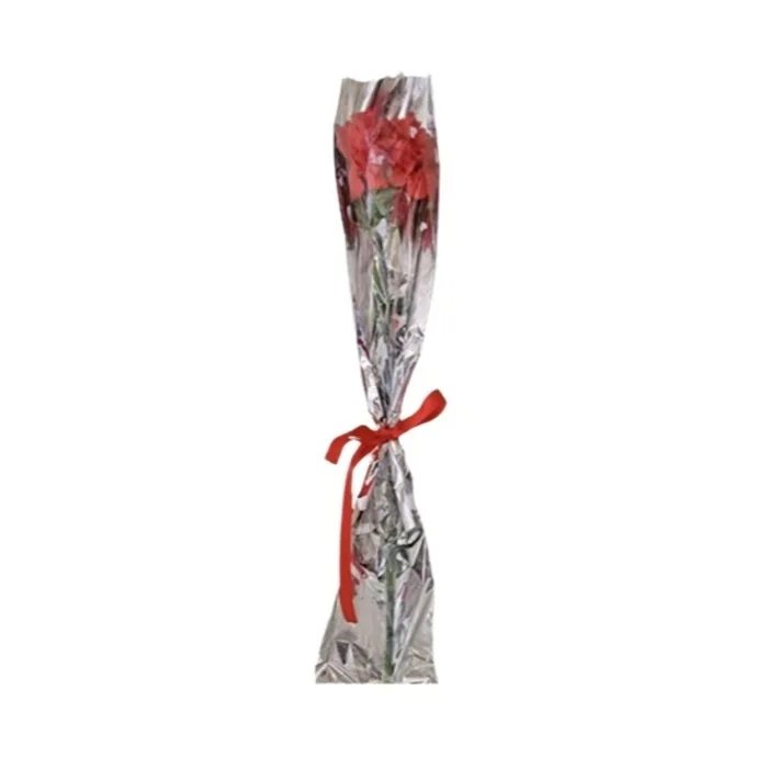 Jelatinde Tekli Karanfil 40 Cm