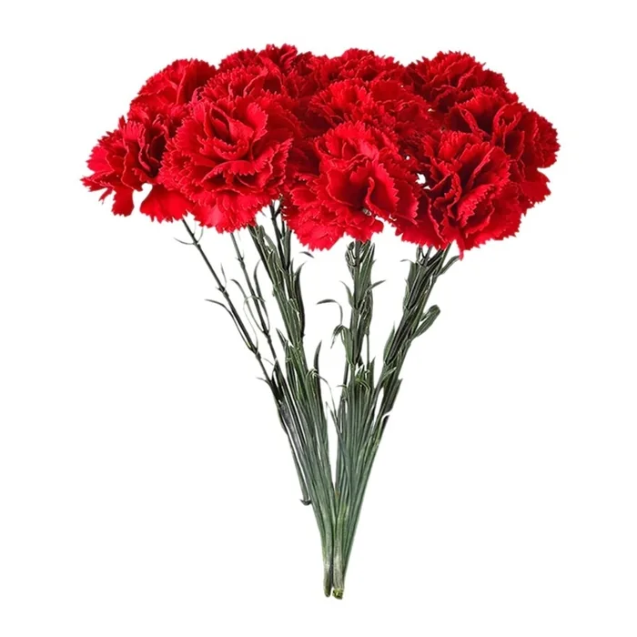 Karanfil Demeti 20'li 40 Cm