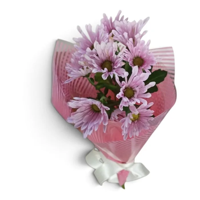 Pembe Ambalajlı Pembe Papatya Buketi 35 Cm
