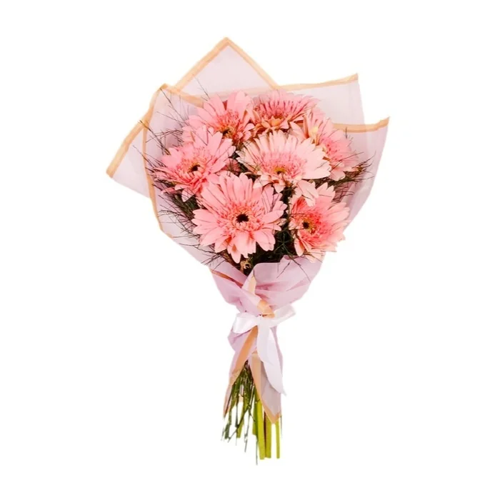 Pembe Gerbera Buketi