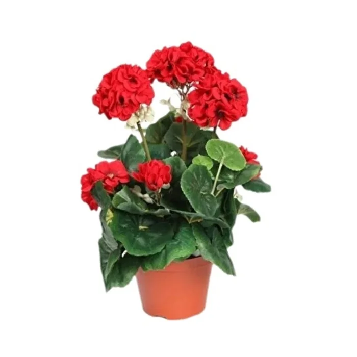 Sardunya Saksılı 16 Cm
