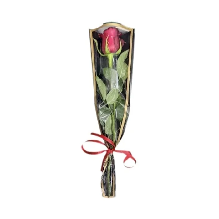 Siyah Jelatinde Tekli Gül 30 Cm