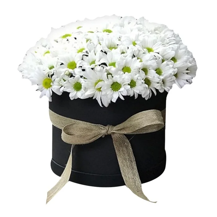 Siyah Silindirik Kutuda Papatya 40 Cm