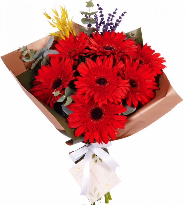 kirmizi-gerbera-buketi